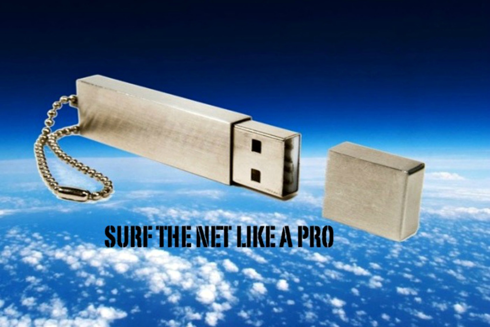 surf the net